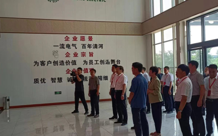 Pemimpin CPPCC Daerah Melawat Qinghe Electric untuk Penyelidikan dan Promosi Pembangunan Ekonomi Tempatan