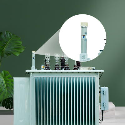 Oil-immersed transformerS22-M-80kVA