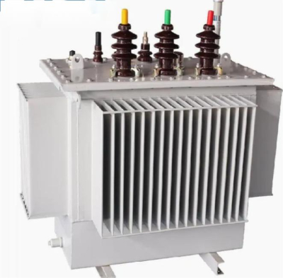   S20-M-800kVA  Three Phase Transformer 